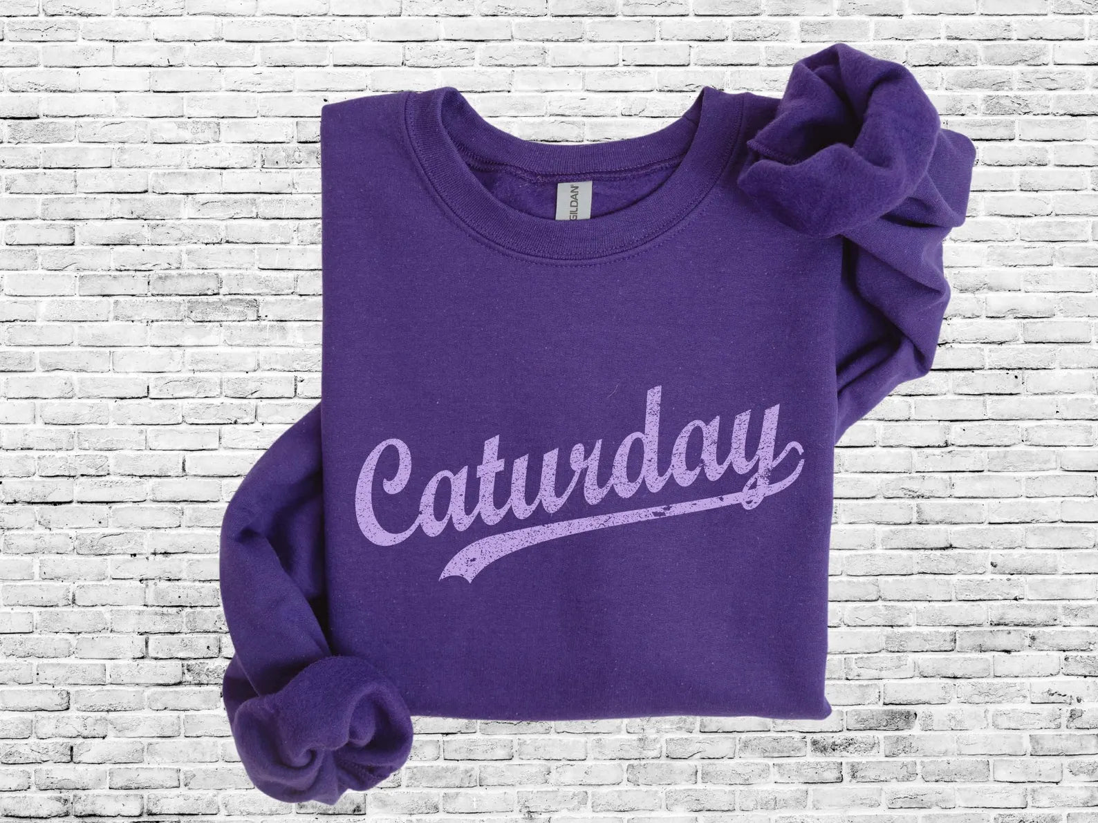 Lavender Caturday Purple Option